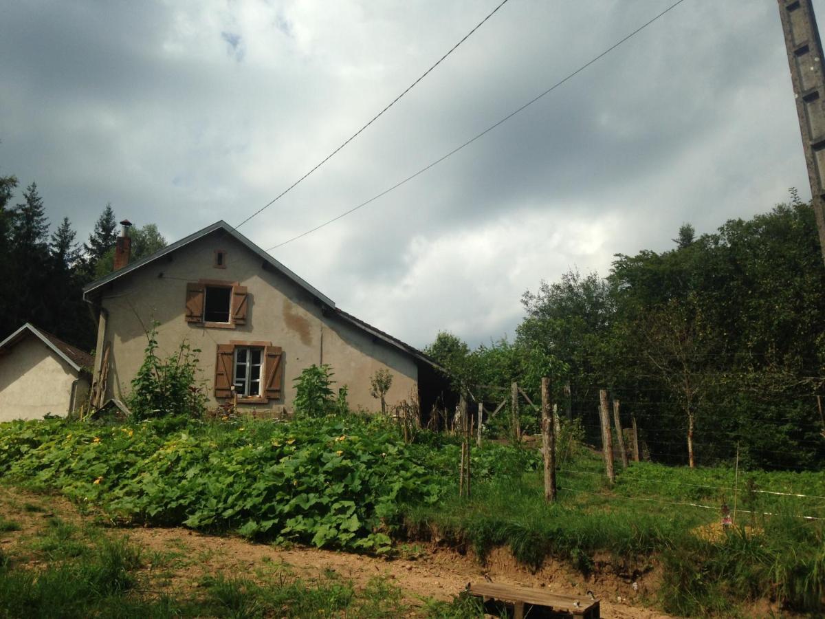 A l'orée de soi - Maison forestière de la Soie - Eco gîte, chambres d'hôtes, camping au pied des Vosges Saint-Sauveur  Esterno foto