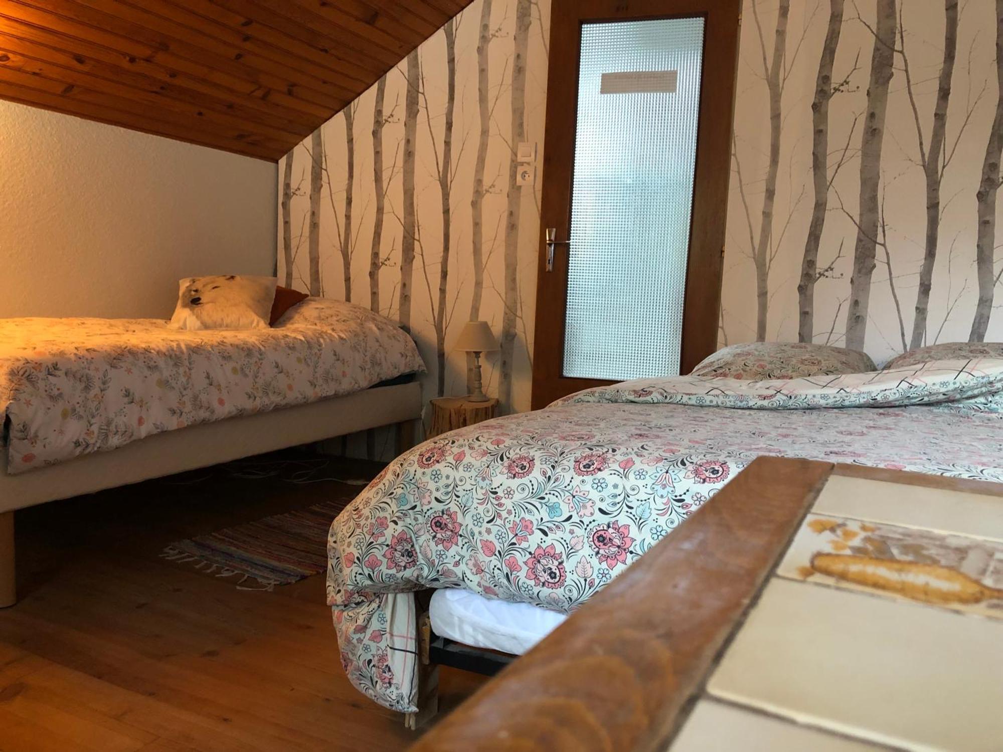 A l'orée de soi - Maison forestière de la Soie - Eco gîte, chambres d'hôtes, camping au pied des Vosges Saint-Sauveur  Esterno foto