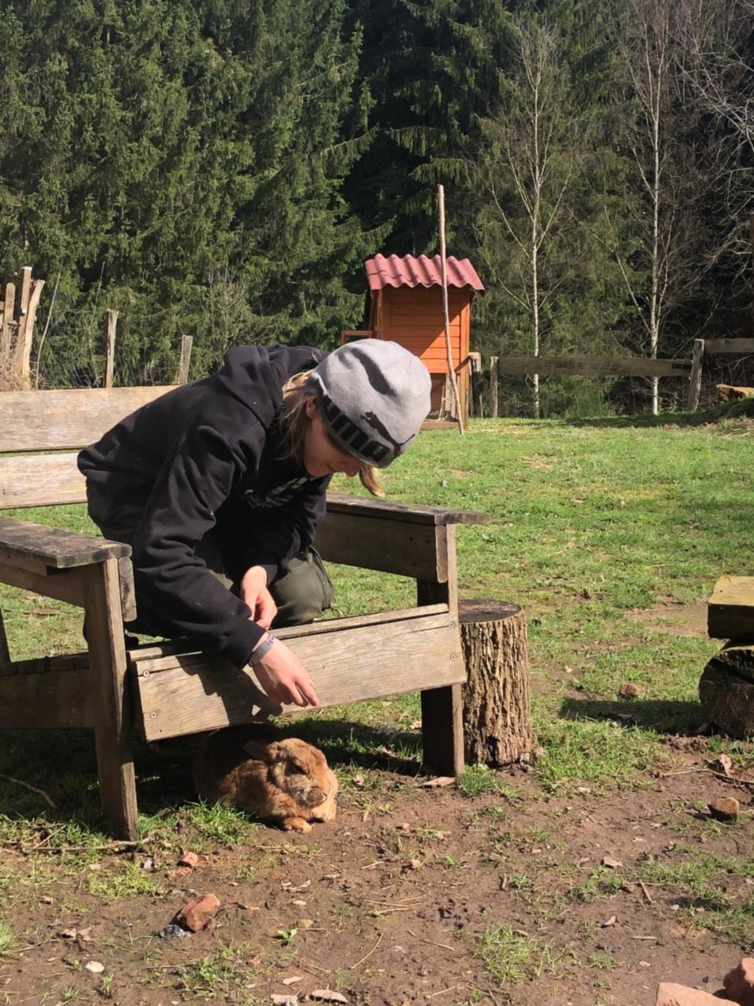 A l'orée de soi - Maison forestière de la Soie - Eco gîte, chambres d'hôtes, camping au pied des Vosges Saint-Sauveur  Esterno foto