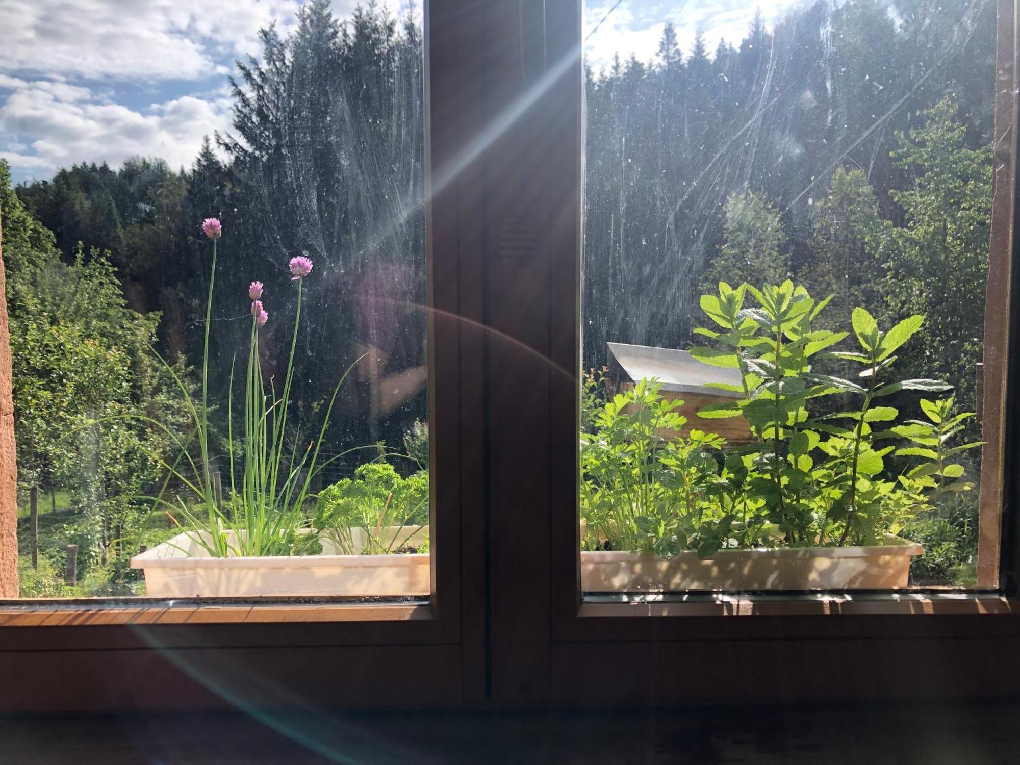 A l'orée de soi - Maison forestière de la Soie - Eco gîte, chambres d'hôtes, camping au pied des Vosges Saint-Sauveur  Esterno foto