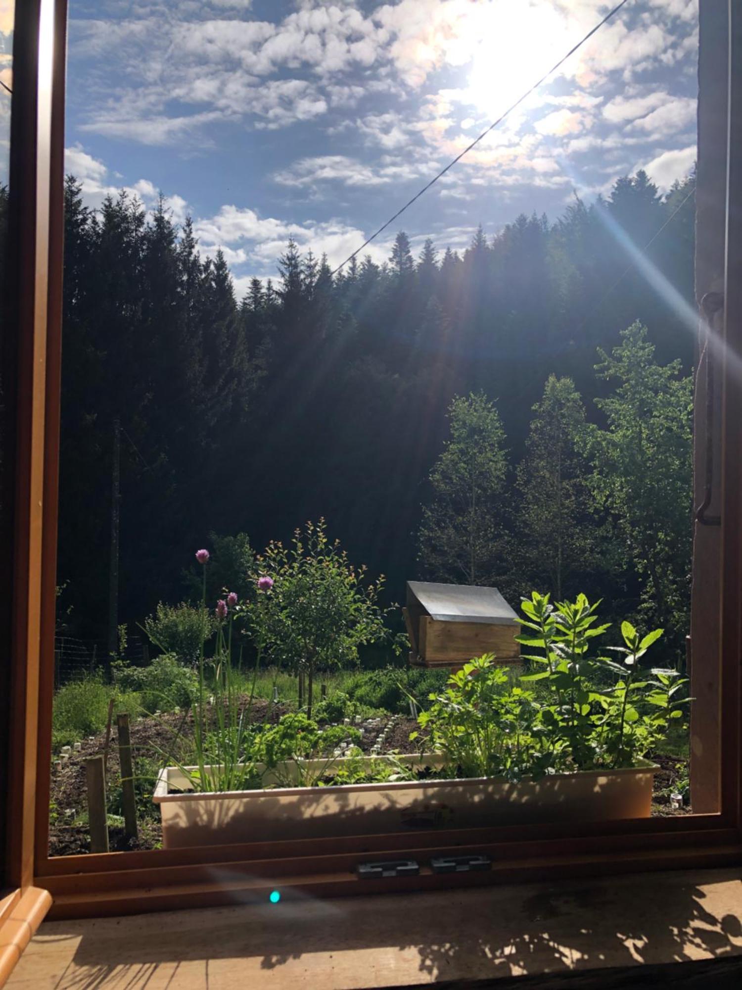 A l'orée de soi - Maison forestière de la Soie - Eco gîte, chambres d'hôtes, camping au pied des Vosges Saint-Sauveur  Esterno foto