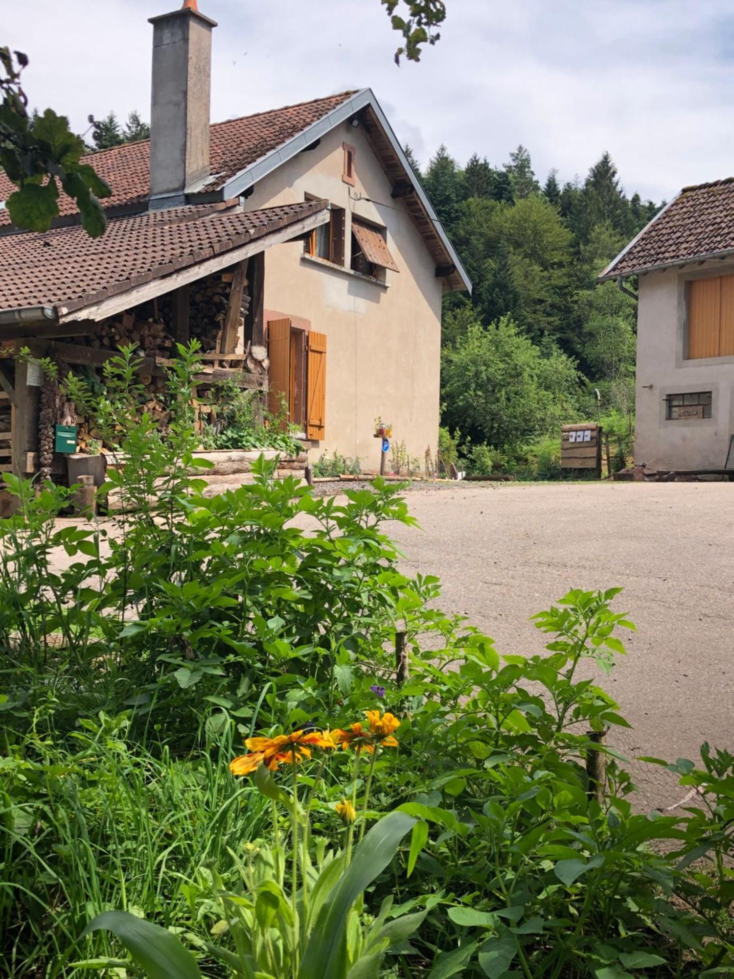 A l'orée de soi - Maison forestière de la Soie - Eco gîte, chambres d'hôtes, camping au pied des Vosges Saint-Sauveur  Esterno foto