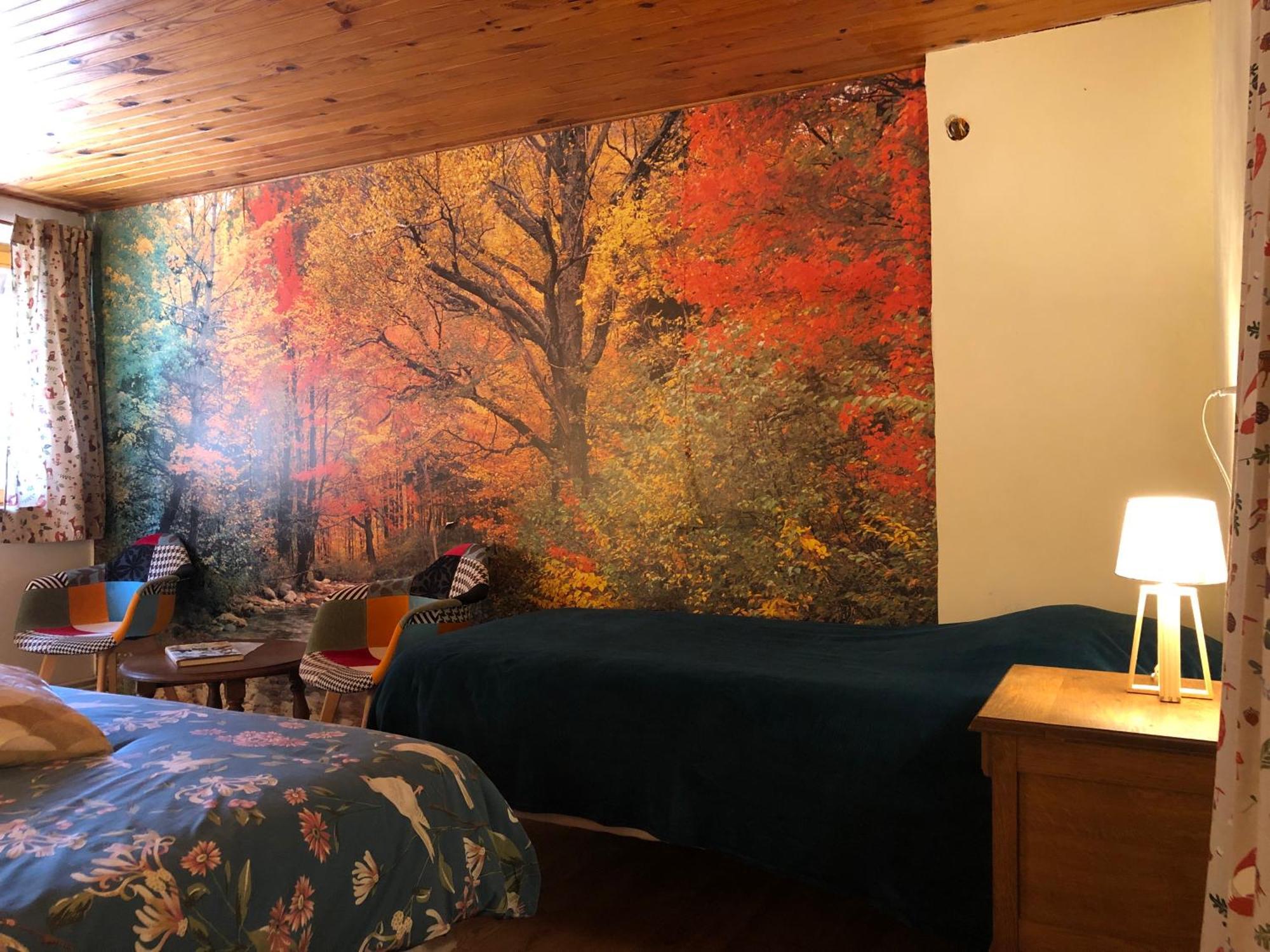 A l'orée de soi - Maison forestière de la Soie - Eco gîte, chambres d'hôtes, camping au pied des Vosges Saint-Sauveur  Esterno foto