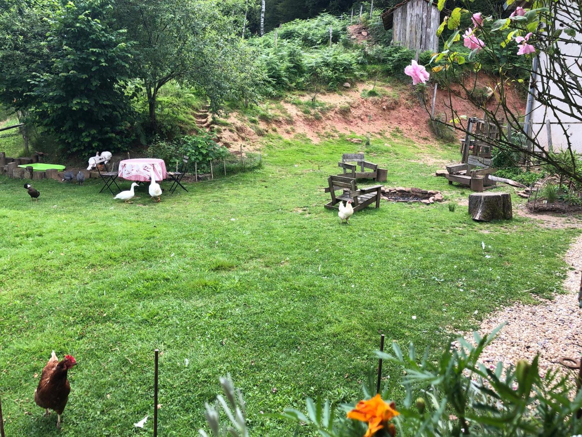 A l'orée de soi - Maison forestière de la Soie - Eco gîte, chambres d'hôtes, camping au pied des Vosges Saint-Sauveur  Esterno foto